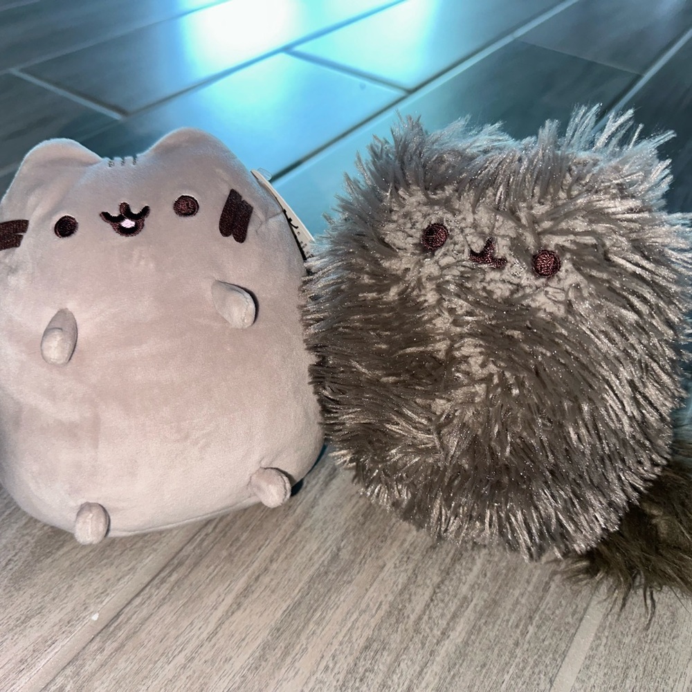 Pusheen and stormi set
